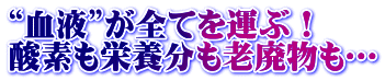 “血液”が全てを運ぶ！ 酸素も栄養分も老廃物も… 
